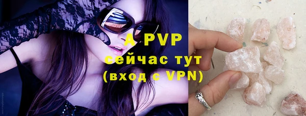 трава Белокуриха