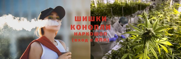трава Белокуриха