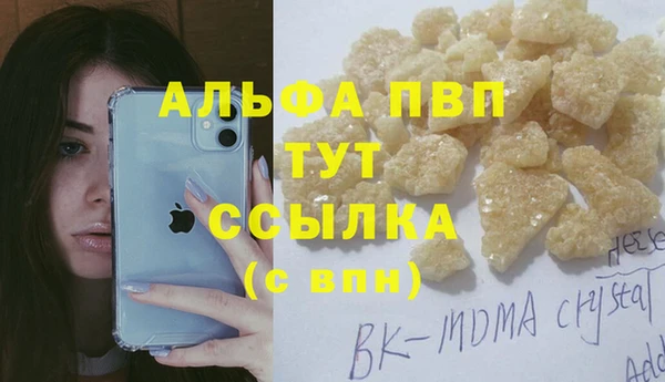 трава Белокуриха