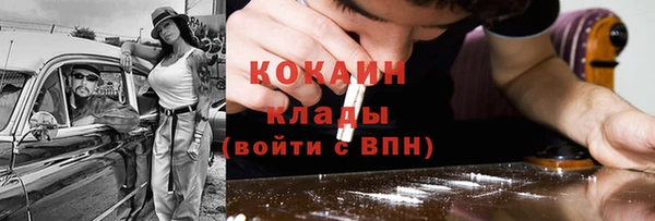трава Белокуриха