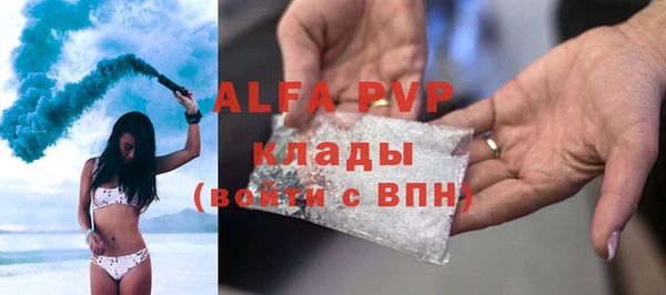 трава Белокуриха
