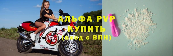 трава Белокуриха