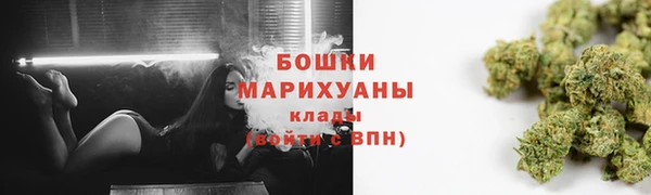 трава Белокуриха