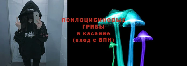 трава Белокуриха