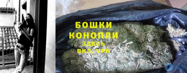 трава Белокуриха